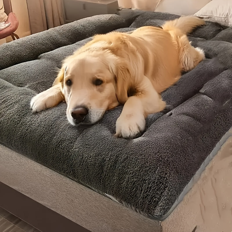 Dog Sofa Bed