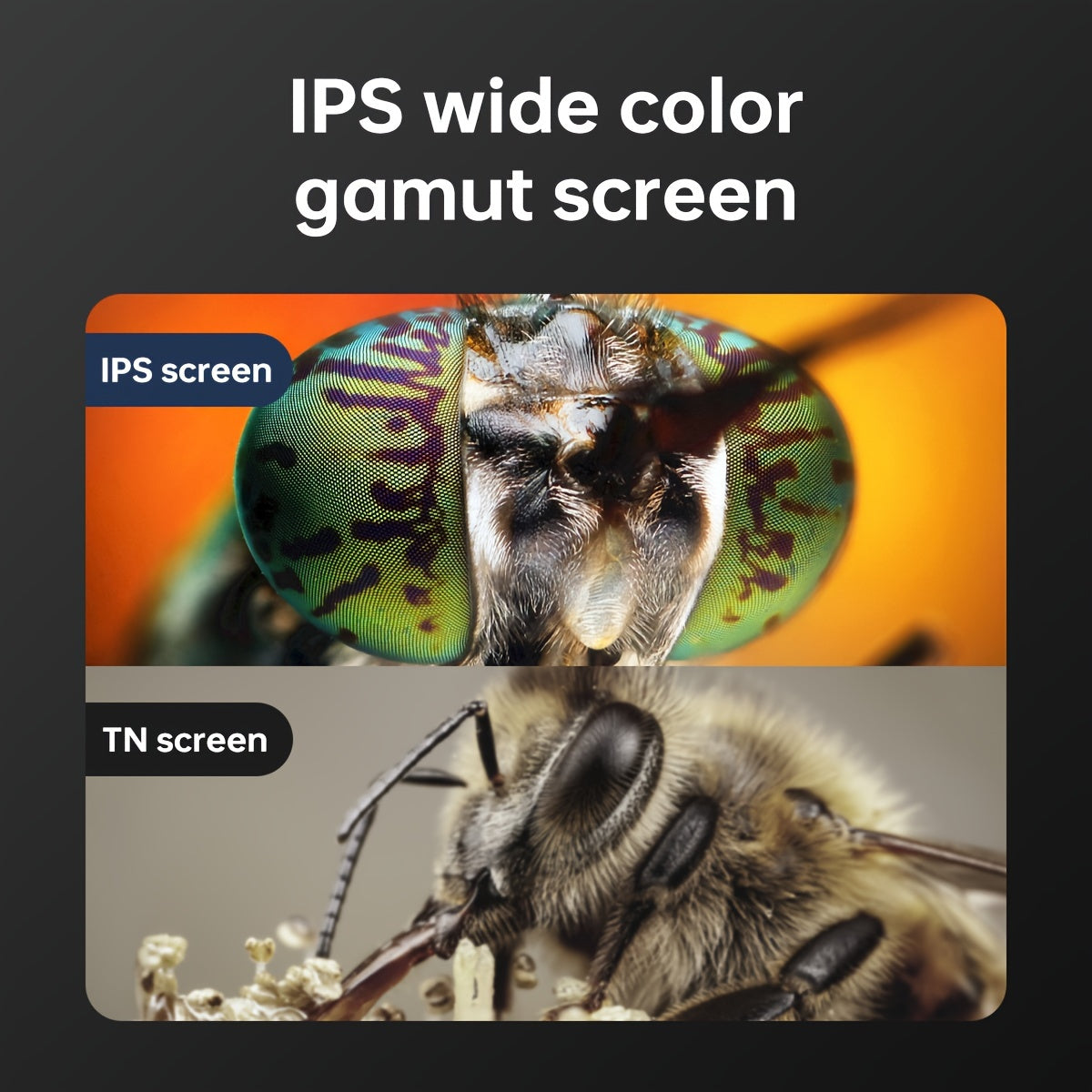 Computer Microscope Electron Biological Microscope