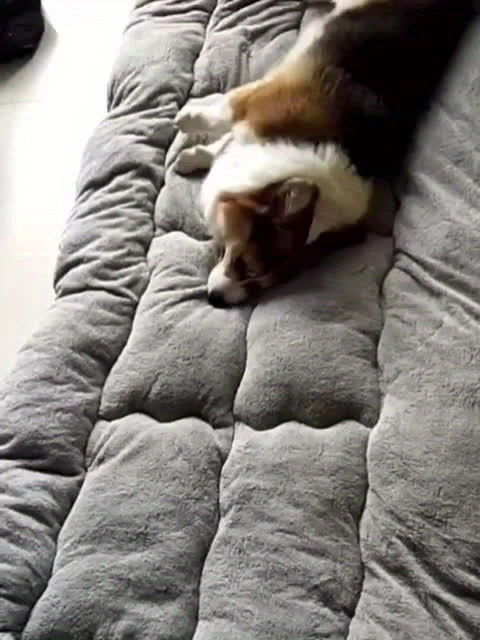Dog Sofa Bed