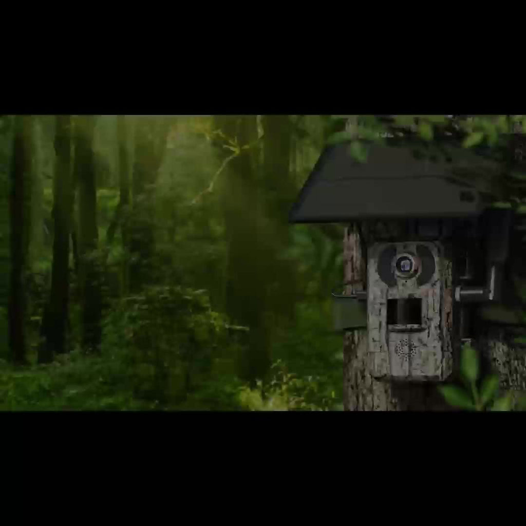 4G LTE Cellular Trail Camera With 4K Live View