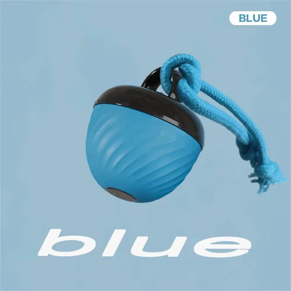 Electronic Interactive Pet Toy