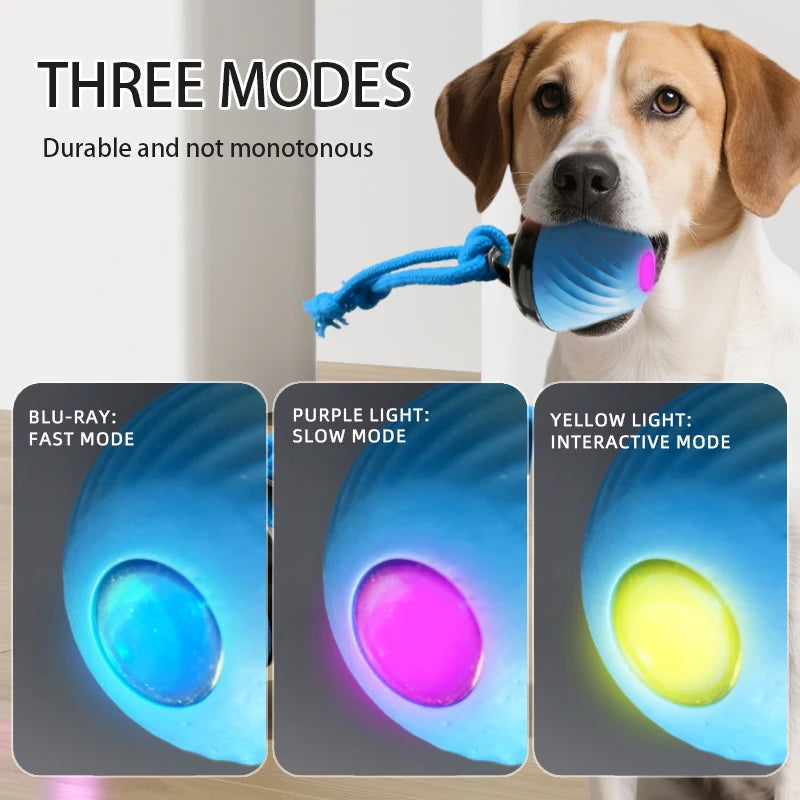 Electronic Interactive Pet Toy