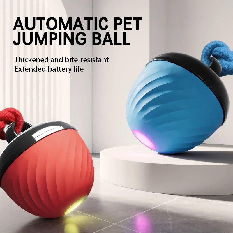 Electronic Interactive Pet Toy