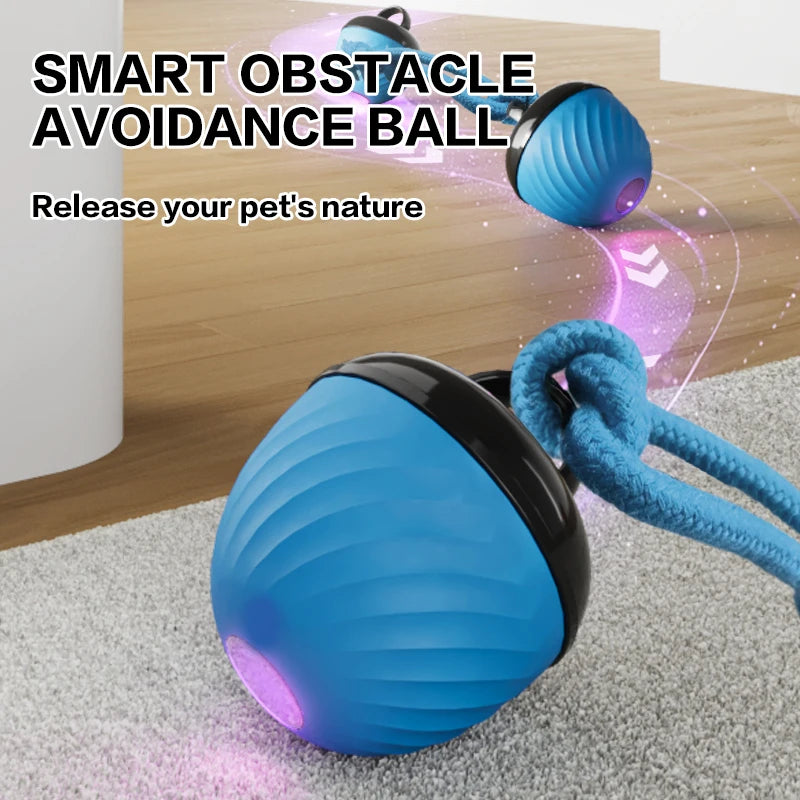 Electronic Interactive Pet Toy