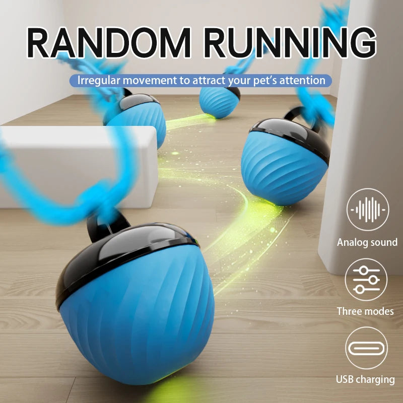 Electronic Interactive Pet Toy