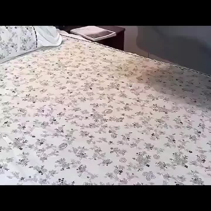 Ergonomic Bed Pillow